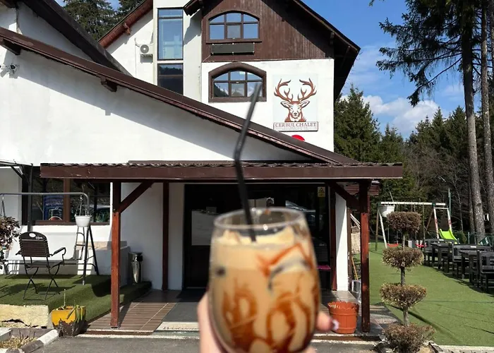Cerbul Chalet Accommodation & Wellness